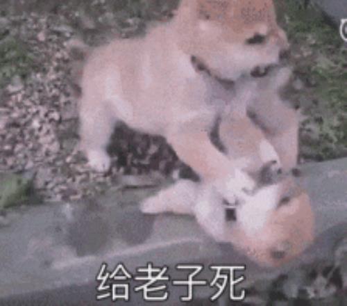 雷米,維爾庫特加,入亨利領導,500足球即时比分,500比分,500体育比分网,比分直播