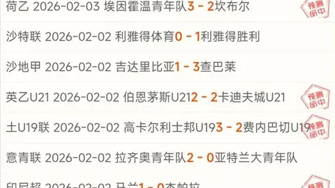海登海姆教头炮轰判罚不公：同款进球多特获认可，我队却遭误判！